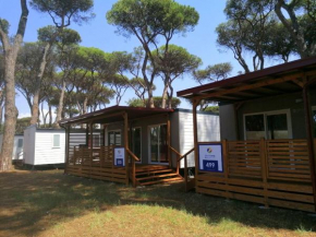 Small Camp Roma Capitol, Mobile Home It-Std-41